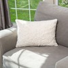 HGTV Curlicue Faux Fur Pillow Snowbound 14 x 20 inches - 2 of 4
