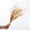 28"H Sullivans Artificial Wild Pod Grass Fall Bush Set of 3, Multicolor, Indoor Fall Decor - 3 of 3