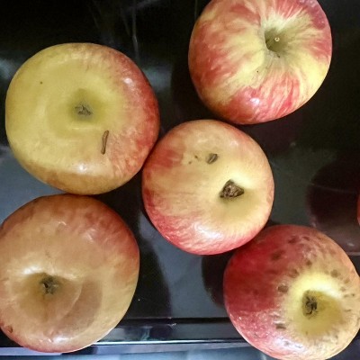 Guest review image 3 of 5, zoom in