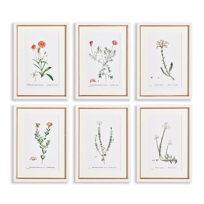 Plum & Post 15.75"W x 0.75"D x 21.5"H Flower Studies In Shades Of Blush Framed Wall Art Set of 6