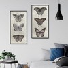 Masterpiece Art Gallery 17"x34" Antique Butterflies I and II Wall Art - 4 of 4
