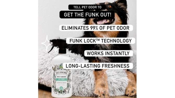 Poo-Pourri Pet Odor Refresher Pawsitivly Fresh Scented Air Freshener - 16 fl oz, 2 of 16, play video