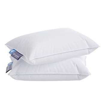 Lincove Toddler Pillow - Cozy Sleep for Kids - Ideal for Nap, Cot, Crib - 800 Fill Power, 100% Cotton, 400 Thread Count - 2 Pack