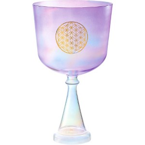 MEINL Sonic Energy Crystal Singing Chalice - 1 of 4
