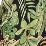 green multi fern
