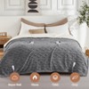 Heated Blanket, Soft Washable Electric Blanket, Heating Blanket for Bedding, With 10 Heat Settings, Sofa and Bed - 2 of 4