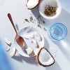 Hair Food Coconut & Chai Spice Sulfate-Free Conditioner Dye Free Nourishment - 10.1 fl oz - image 4 of 4