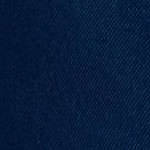 patriot blue