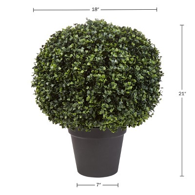 Green 21-Inch Boxwood Topiary Ball in Black Pot