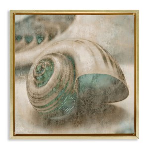 Stupell Industries Centered Sharkeye Seashell, 18" x 18" - 1 of 4