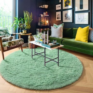 5ft Round Fluffy Area Rug, Soft Shaggy Circle Carpet for Bedroom, Kids Girls Boys Room - 1 of 4