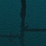 jacksonville jaguars