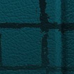 jacksonville jaguars