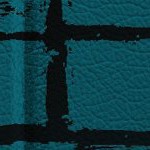 jacksonville jaguars