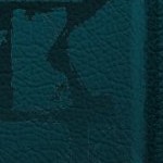 jacksonville jaguars