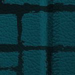 jacksonville jaguars