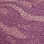 black plum