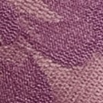 black plum