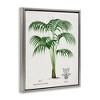 Stupell Industries Vintage Palm Illustration Floating Frame Canvas Art - 2 of 4