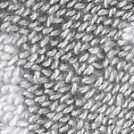 ultimate gray flower sprig