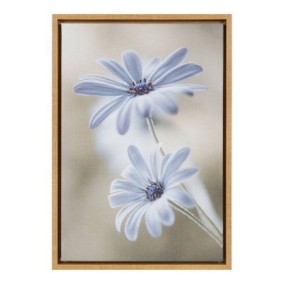 16" x 23" Cape daisies Framed Canvas Wall Art - Amanti Art