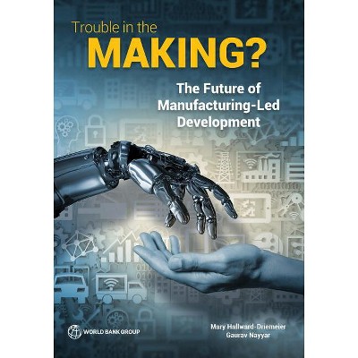 Trouble in the Making? - by  Mary Hallward-Driemeier & Gaurav Nayyar (Paperback)