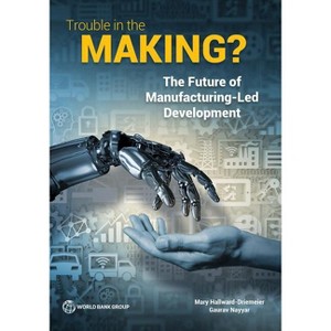 Trouble in the Making? - by  Mary Hallward-Driemeier & Gaurav Nayyar (Paperback) - 1 of 1