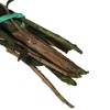Vickerman 25-36" Green Lepto Longifolia. 6-7 oz Bundle. Preserved - 4 of 4