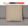 20"  Throw Pillow With Shag - 2 of 4