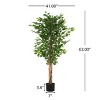 SEVOBAL Artificial Plants 63" Ficus Tree Pre-Potted Faux Greenery with Glossy Leaves for Home Decor, Green, 41"*41"*63" - 3 of 4