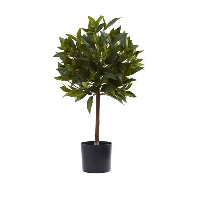 2ft Green Silk Picea Topiary in Black Pot