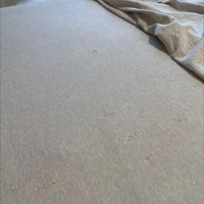 Guest review image 2 of 2, zoom in