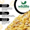 Wildlife Elements Critter Corn, Natural Whole Shelled Corn for Wildlife, USA Sourced, 44lb - 2 of 4