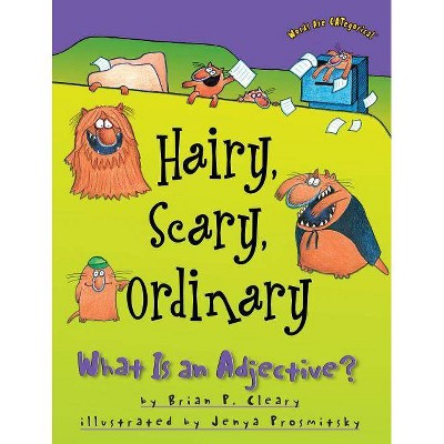 Hairy, Scary, Ordinary - (Words Are Categorical (R)) by  Brian P Cleary (Paperback)