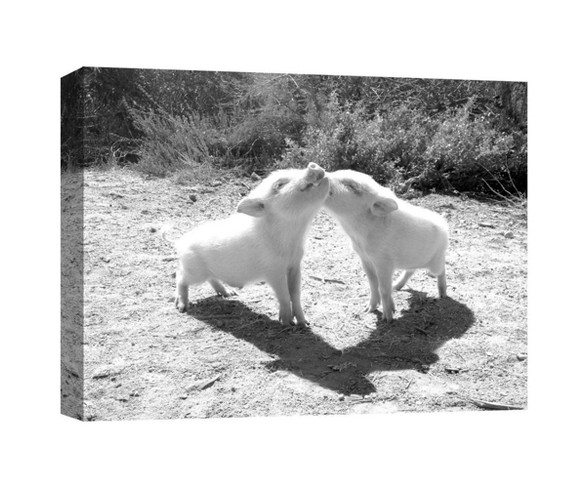 Piggy Love Decorative Canvas Wall Art 11"x14" - PTM Images
