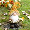 Northlight Fall Harvest Gnome in Maple Leaf Mushroom Hat Holding Bird - 16.5" - 2 of 4