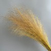 Alilang Dried Wispy Grass Stems for Home Decoration and Floral Arrangements, 17 Inches - 2 of 3