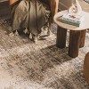 Hauteloom Barrackville Luxury Fringed Faux Silk Rug - 4 of 4