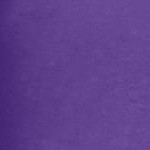 petal purple