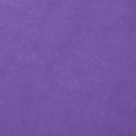petal purple
