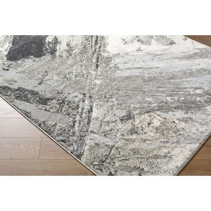 Hauteloom Chaeli Living Room, Bedroom Area Rug - Contemporary - 1 of 4