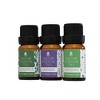 Pursonic 3 pack of 100% Pure Essential Oils (Eucalyptus, Lavender & Peppermint) - 3 of 3