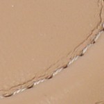 mocha