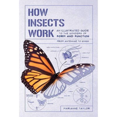 How Insects Work - by  Marianne Taylor (Paperback)