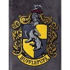 Harry Potter Girls' Hogwarts Houses Crest Raglan Pajama Nightgown-All Houses - 3 of 4