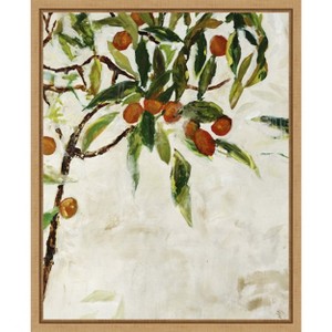 Amanti Art Kumquat Tree by Jodi Maas Canvas Wall Art Print Framed 16 x 20-in. - 1 of 4