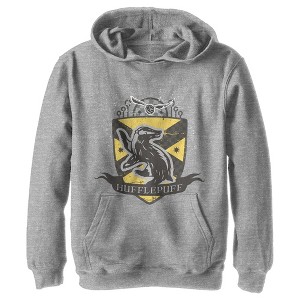 Boy's Harry Potter Hufflepuff Snitch Crest Pull Over Hoodie - 1 of 4