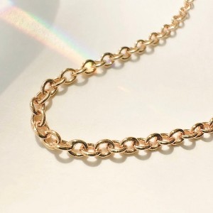 Darling Rolo Chain Necklace in Gold, Rose Gold, Silver - Honeycat - 1 of 4