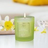 Old World Christmas Soy Wax Blend Candle in Glass Container, Sparkling Apple Cider, 8oz - 2 of 3