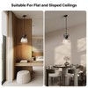 1-Light Pendant Light with Glass Shade - 2 of 4